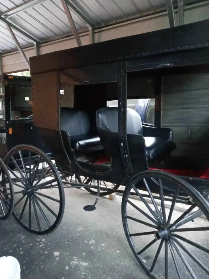 Amish buggy